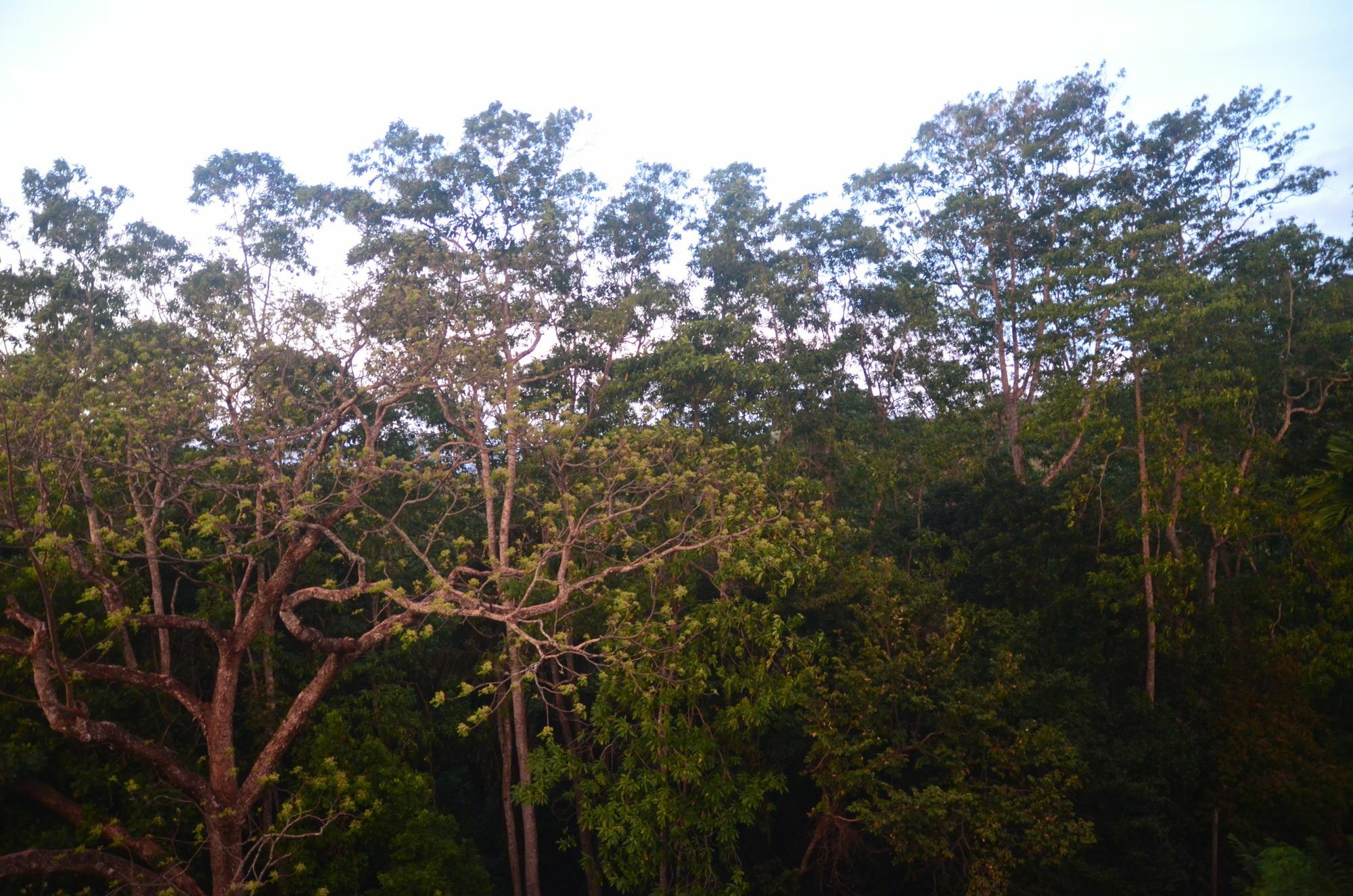 The Grand Hanthana Kandy Kültér fotó